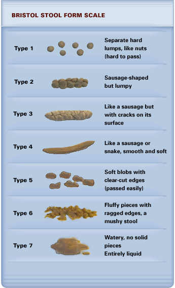 bristol_scale.gif